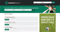 Desktop Screenshot of diversitysearch.com